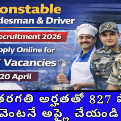 SSB Constable Notification 2026 | 827 Posts for 10th Pass | Apply Now 🔥